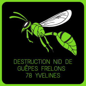 destruction nid de guepes frelons 78 yvelines