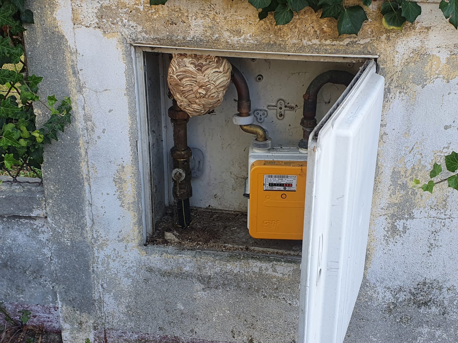 traitement nid de guepes frelons  Verneuil-sur-Seine 78480